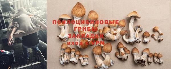 тгк Лихославль