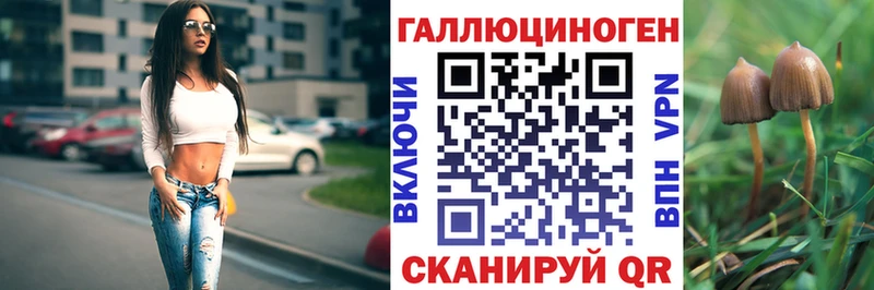 MEGA онион где можно купить наркотик Липецк маркетплейс формула Галлюциногенные грибы Cubensis