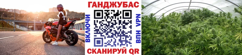 Марихуана сатива Липецк